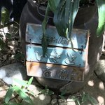 ソバイスバ いさと - 