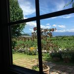 キュイエット - 