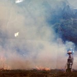 慈久庵 - そば畑で焼き畑をするご主人