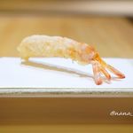 たきや - 神奈川県相模原のアカザエビ