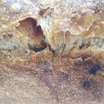 チクテベーカリー - パンドミ（レーズン）アップ