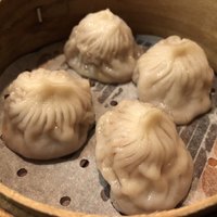潮夢来 - 