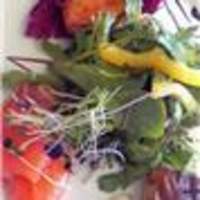 IL PINOLO 梅田 - 