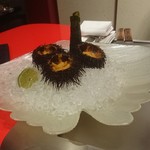 六本木うかい亭 - 雲丹