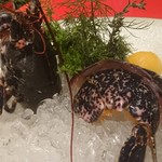 六本木うかい亭 - オマールブルー海老