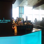 天空LOUNGE TOP of TREE - 入口