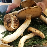 日本料理秀たか - 
