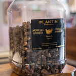 Bien - 網笠茸（あみがさだけ、モリーユ）