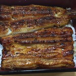 鮒兼 - 鰻重って蓋を開けた時の香りで決まりますよね