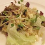 モデーロ - サラダ