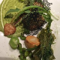 代官山ASO チェレステ 日本橋店 - 