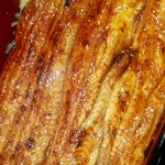 うなぎ 魚政 - うな重　坂東太郎　特上