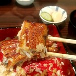 うなぎ 魚政 - 鰻　リフト