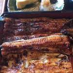 Unagi Ryou Shin - 