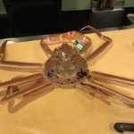 うを徳 - 私も甲殻類の仲間だよとズワイガニ