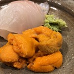 うを徳 - 小柴産1.6kg寒鮃 函館産蝦夷馬糞海胆(小川)