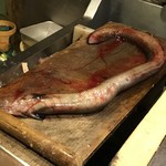 うを徳 - こんなモノまで！！(浜名湖産天然鰻)