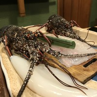 うを徳 - 
