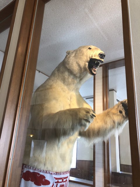 北極熊の剥製 By Yaoyama8 カフェしろくま Cafe Polar Bear 土山 カフェ 食べログ 北極熊の剥製 By Yaoyama8 カフェしろくま Cafe Polar Bear 土山 カフェ 食べログ