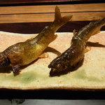 神楽坂 石かわ - 活鮎の炭火焼