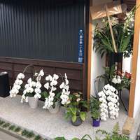 うなぎ家 しば福や - 胡蝶蘭