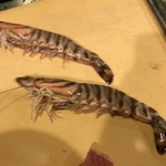 うを徳 - この日２尾だけしか無かった姫沼産天然車海老