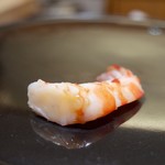 寿しの吉乃 - 車海老