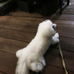 リストランテ ピッツェリア ジャンカルロ トウキョウ - （お肉が気になりますが）