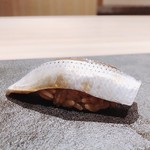 はっこく - 2018.6.  小鰭