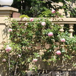 カステッロ - カステッロ 