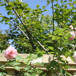 カステッロ - カステッロ 