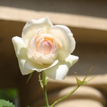 カステッロ - カステッロ 