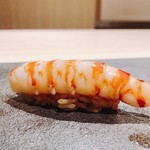 はっこく - 2018.6.  車海老