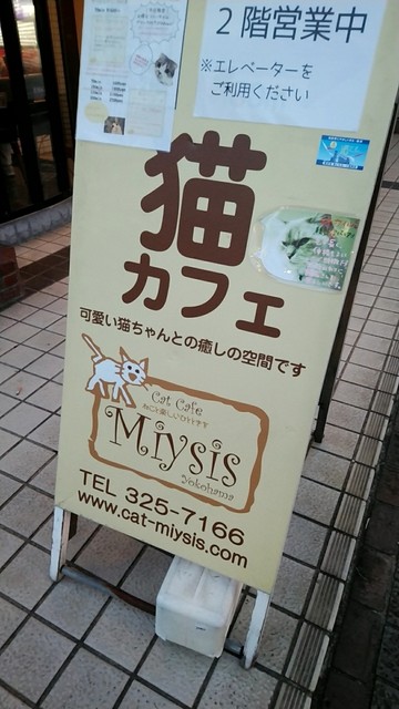 キャットカフェ ミーシス 猫カフェ Cat Cafe Miysis 伊勢佐木長者町 その他 食べログ