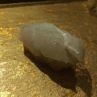 SUSHI TOKYO TEN、 新宿ニュウマン店 - 