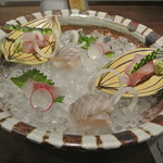 日本料理 潤花 - お造り