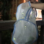 りょうりや 御旅屋 - 6/1には高瀬川に蛍を放し風情がありますね