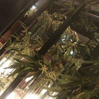 知喜多亭 和 - 