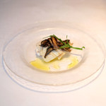 VIA Brianza - ランチコース 5300円 の青森県産ヤリイカ、ラディッキオ、ルッコラ