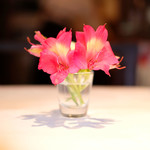 VIA Brianza - 店内のテーブル席の風景です