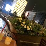 Minori Kafe - ハッサクサイダー¥430、ジェラードS ¥410
      ガーデンには白の紫陽花が満開でした。