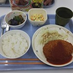 Ryoushinkan Shokudou - チキンカツトマトソースメインの一例