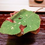 道人 - その他写真:☆水無月豆腐、雲丹、オクラのたたき