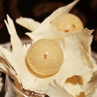 La maison du caviar 17℃ - 