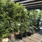 国分寺そば - 待合のスペースから見る眺め