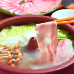 てぃーだむーん