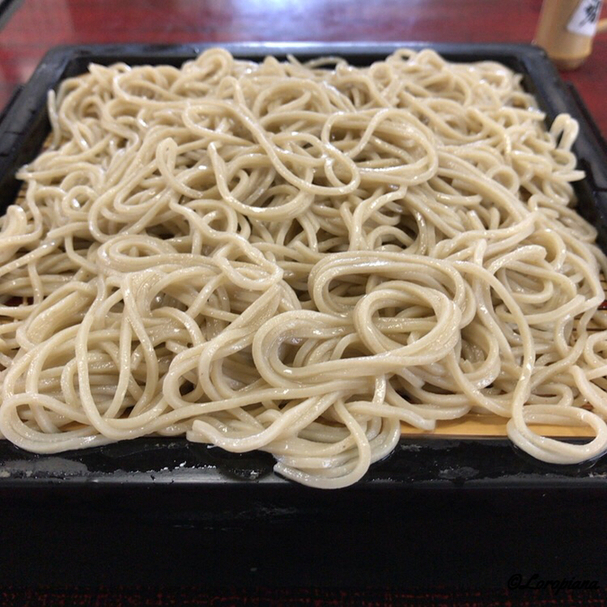 やぶ春 name=