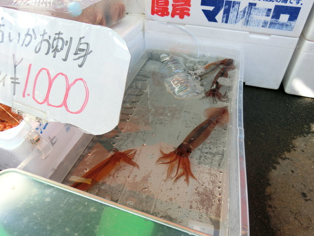 函館朝市 加藤商店 - 函館（その他）の写真