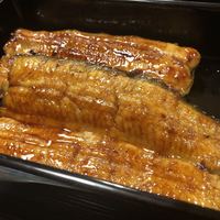 うなぎ秋本 - 