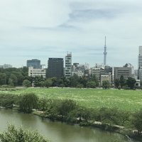 東天紅 上野店 - 見晴らし良いです
